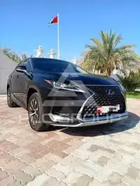 2020 Lexus RX
