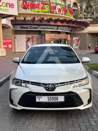 2020 Toyota COROLLA