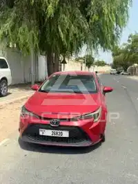 2020 Toyota COROLLA