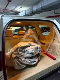2020 Toyota Prado