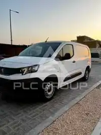 2020 Peugeot Partner
