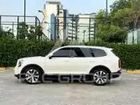 2020 KIA Telluride