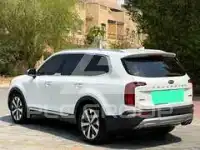 2020 KIA Telluride