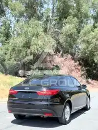 2020 Ford ESCORT
