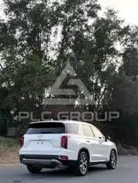 2020 Hyundai Palisade