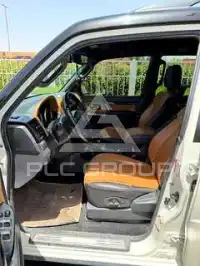 2021 Mitsubishi PAJARO