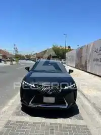 2021 Lexus UX