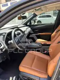 2021 Lexus UX