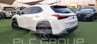 2021 Lexus UX