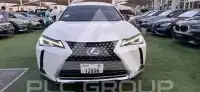 2021 Lexus UX