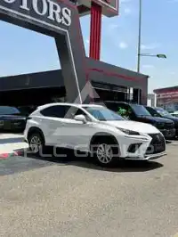 2021 Lexus NX