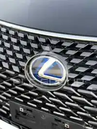 2021 Lexus RX