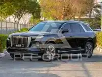 2021 Hongqi H9