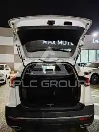 2021 JAC S3