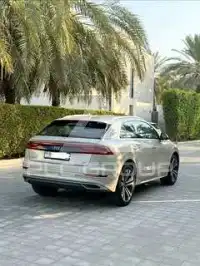 2022 Audi Q8