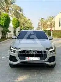 2022 Audi Q8