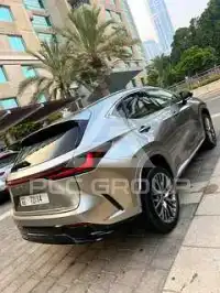 2022 Lexus NX