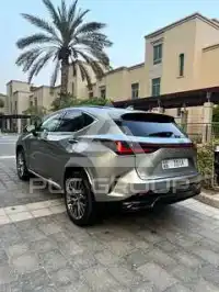 2022 Lexus NX