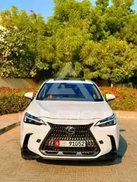 2022 Lexus NX