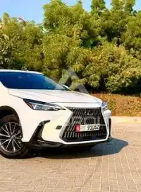 2022 Lexus NX