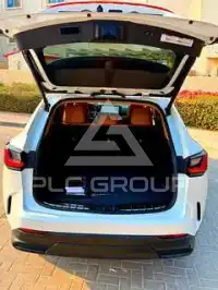 2022 Lexus NX