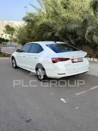 2023 Skoda Octavia