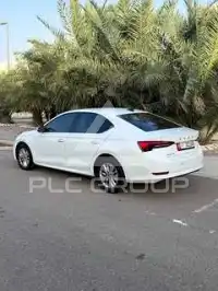 2023 Skoda Octavia