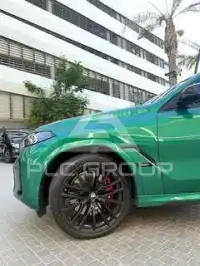 2023 BMW X6