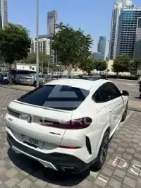 2023 BMW X6