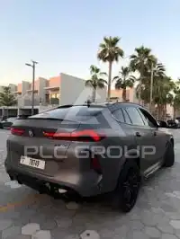 2023 BMW X6