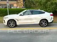 2023 BMW X6