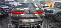 2023 BMW X6