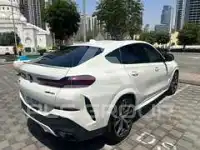 2023 BMW X6