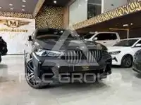 2023 BMW X6