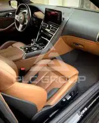 2023 BMW M8