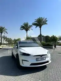2023 Tesla Model X
