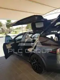 2023 Tesla Model X