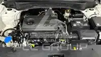 2023 KIA Seltos
