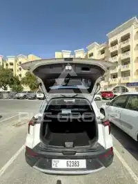 2023 JAC J4