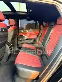 2024 BMW X6