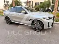 2024 BMW X6