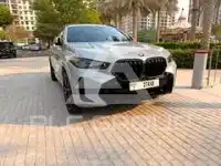 2024 BMW X6