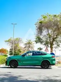 2024 BMW X6