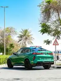 2024 BMW X6