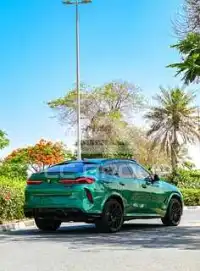 2024 BMW X6