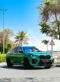 2024 BMW X6