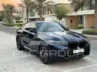 2024 BMW X6