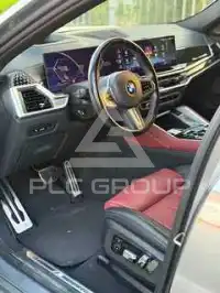 2024 BMW X6