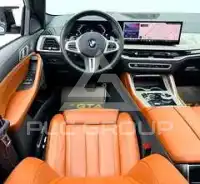 2024 BMW X6