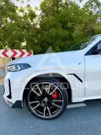 2024 BMW X6